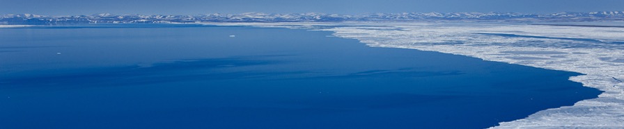 The Arctic Ocean