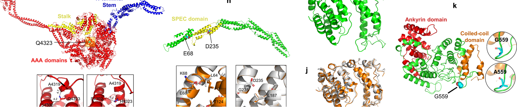 Gene Expression Pattern for Pediatric Hearing Loss