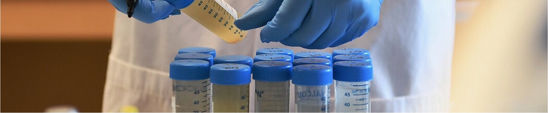 Collecting Wastewater from Barnard Dorms